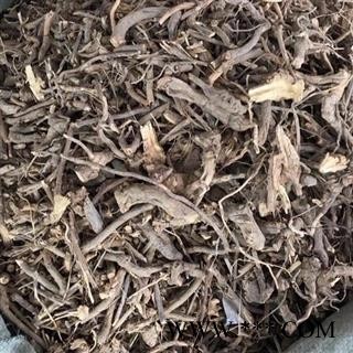 山白芷 羊耳菊 毛柴胡 白牛胆 全根 羊耳菊根 大力王 猪耳风 羊耳风 白面风根 重在品质吉康药业图2