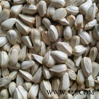 红花 红花籽 红花子 产地 新疆维吾尔自治区图2