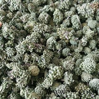 三七花 三年精选花 产地 云南省图2