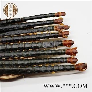 蜈蚣 蜈蚣大条精选货16-17cm左右国产蜈蚣图2