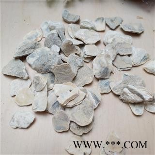 牡蛎 大片牡蛎 青片牡蛎 产地 福建省图2