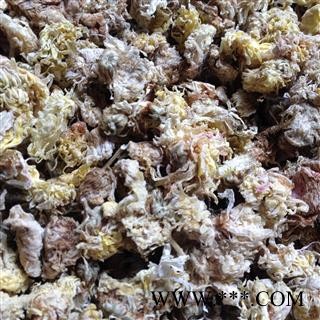 菊花  亳菊花 统 产地 安徽省亳州市谯城区图3