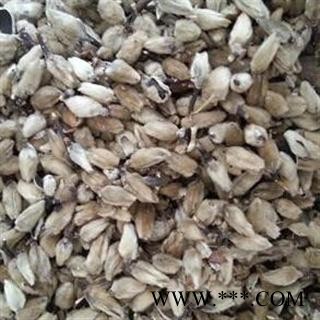 辛夷花 统 产地 四川省广元市剑阁县图2