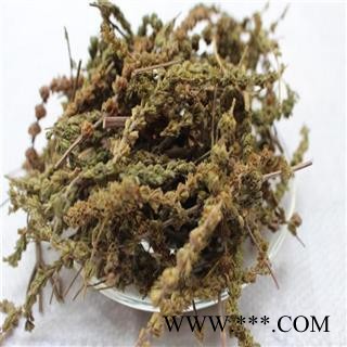 正品荆芥穗统货 新货 颜色好 产地直销图2