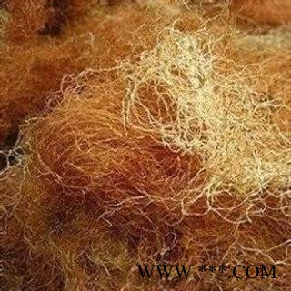 玉米须 正品保证质量7天无理由退货退款 安品堂图2