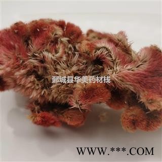 鸡冠花1000克【至臻华美】中药材批发供应【鸡冠花】鸡冠花图3