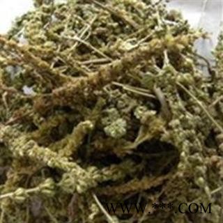 荆芥穗 统货 产地 河北省图2