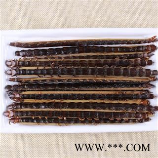 【满298元包邮】蜈蚣16--17cm   100条1瓶 产地 湖北图2