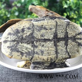 【满298元包邮】龟甲 旱龟板选装 产地 湖北省 1000克1袋图2