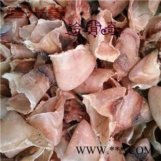 猪蹄甲 猪甲选货 产地 山东省 批发经营各种冷背中草药个子图3