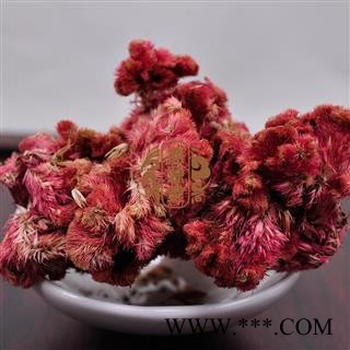 鸡冠花 鸡冠花 产地 四川省  凤尾鸡冠 大鸡公花  红鸡冠图3