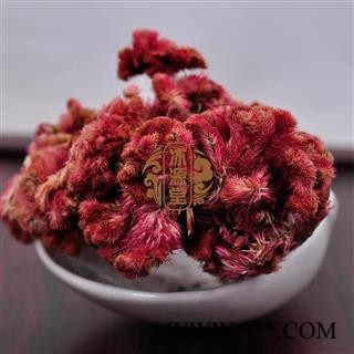 鸡冠花 鸡冠花 产地 四川省  凤尾鸡冠 大鸡公花  红鸡冠图4