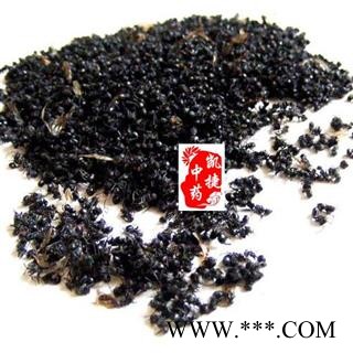 黑蚂蚁 红蚂蚁 拟黑多刺蚁 大黑蚂蚁净货 产地 广西壮族自治区图3