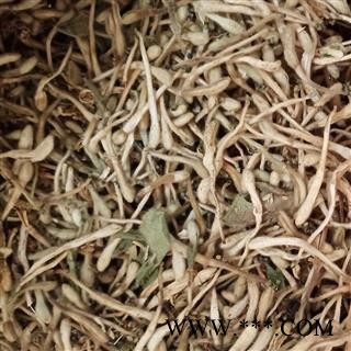 金银花 金银花白花统货 产地 河南省图2