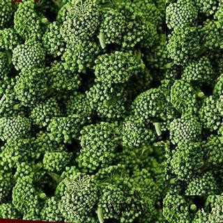 三七花 两年生三七花无柄小选货 产地 云南省 产地直销 重在质量图2