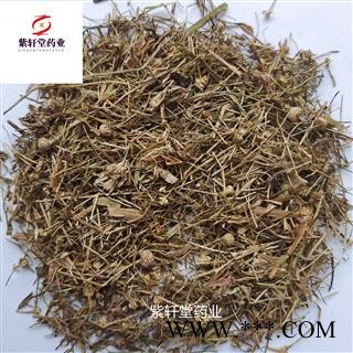 谷精草 好统  无杂质 产地 湖南省  产地直销图2