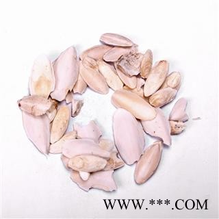 【满298元包邮】海螵蛸小选货    1公斤1袋图4