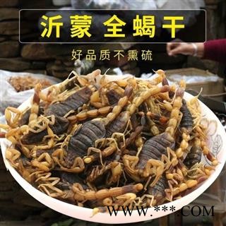 全蝎 山东清水全蝎伏货 产地 山东省【文杰药业】图2