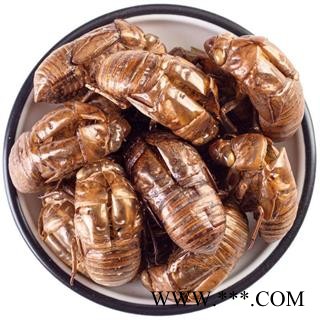 蝉蜕 蝉蜕净货 产地 山东省 水洗蝉蜕 【文杰药业】图4
