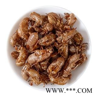 蝉蜕 蝉蜕净货 产地 山东省 水洗蝉蜕 【文杰药业】图3