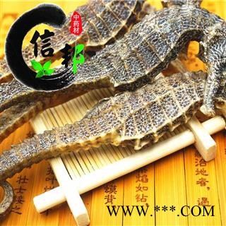 海马批发4-5克纯清水海马纯清水包药检专注品质，诚信信邦！图3