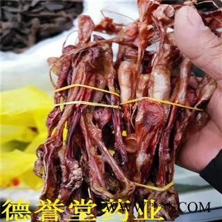 狗鞭狗肾选狗鞭带输精管批发各种中药材图2