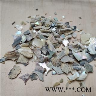 石决明 统货 产地 山东省图2