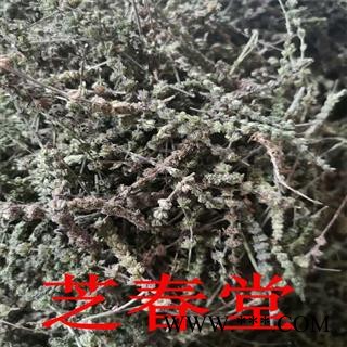 芝春堂 中药材 正品 荆芥穗 香荆芥 干净无硫 另有荆芥草图3