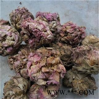 芝春堂中药材批发零售供应冷背正品优质无硫芙蓉花芙蓉叶地芙蓉一件代发图2