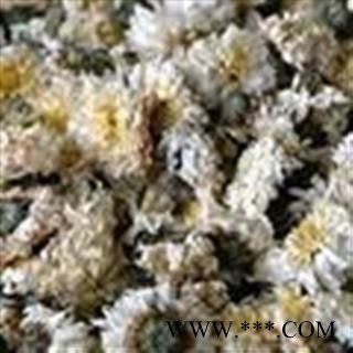 吉康药业中药材菊花  菊花 菊花炭图2