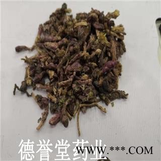 款冬花 统 冬花 产地 甘肃 德誉堂批发中药材图3