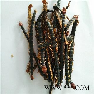 蜈蚣 蜈蚣皮子选货16-18cm 产地 湖北省  华美中药 产地直销 重在品质图4