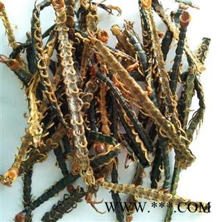 蜈蚣 蜈蚣皮子选货16-18cm 产地 湖北省  华美中药 产地直销 重在品质图2