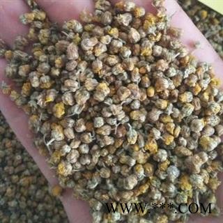 野菊花 正品保证质量7天无理由退货退款 安品堂图4