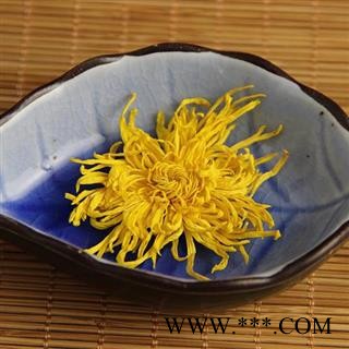 菊花 金丝皇菊 正品保证质量无理由退货退款图2