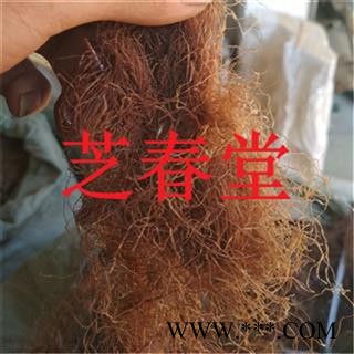 正品中药材 优质玉米须 无硫 无添加 玉米须 代价超细粉图2