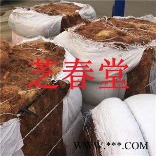 正品中药材 优质玉米须 无硫 无添加 玉米须 代价超细粉图4