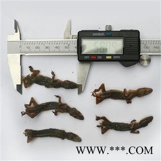 【满298元包邮】壁虎守宫四脚蛇巴壁虎统个   500克1袋图3