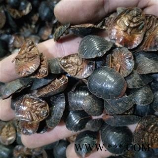 土鳖虫  土元 土鳖虫水洗腹空大选货 产地 山东省济南市市辖区图3