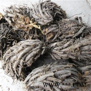 昏鸡头；绵马贯众 统货 产地 四川省成都市双流县图3