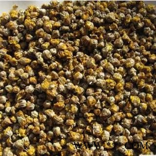 【录建药业】野菊花 选装野菊花 产地 湖南省图2