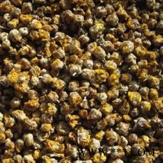 【录建药业】野菊花 选装野菊花 产地 湖南省图3