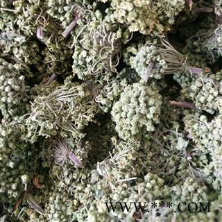 三七花 三年花一般货 产地 云南省图2