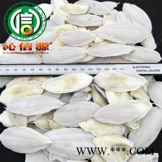 【满包邮】海螵蛸水洗货个子统货散装广西产地直供乌贼骨沁信源中药批发图2