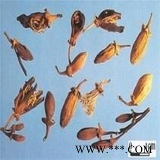 小丽参茸行  佛手花 佛柑花图3