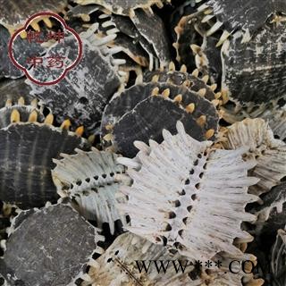 鳖甲 正品鳖甲   净选货   高品质 产地 四川省【诚信经营 品种齐全】图2