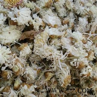 精品白菊花选货 颜色好 质量好 价格低 规格齐全  产地 河北省图2