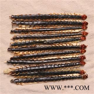 蜈蚣 蜈蚣大条选货14-17cm 产地 湖北省【文杰药业】重在品质图2