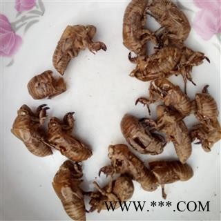 蝉壳 季节促销220元每公斤图4