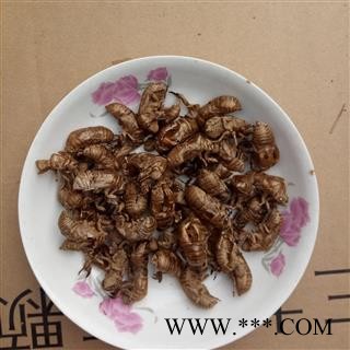 蝉壳 季节促销220元每公斤图2